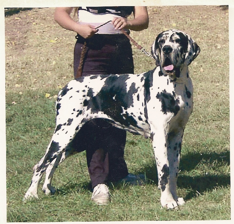 Maomi De fortuna majeur
