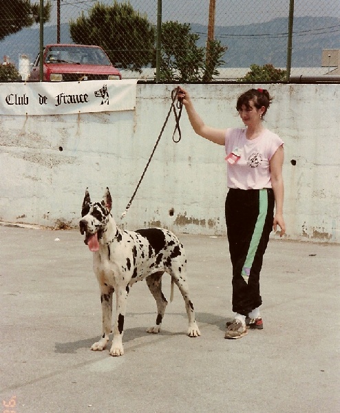 Ehra De fortuna majeur